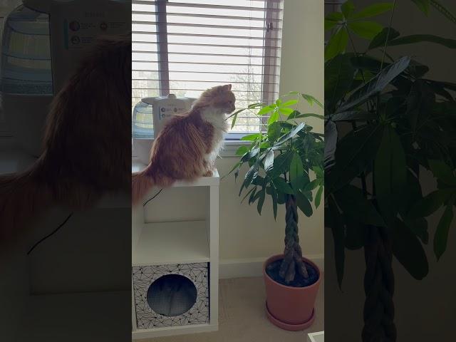 Get plants they said