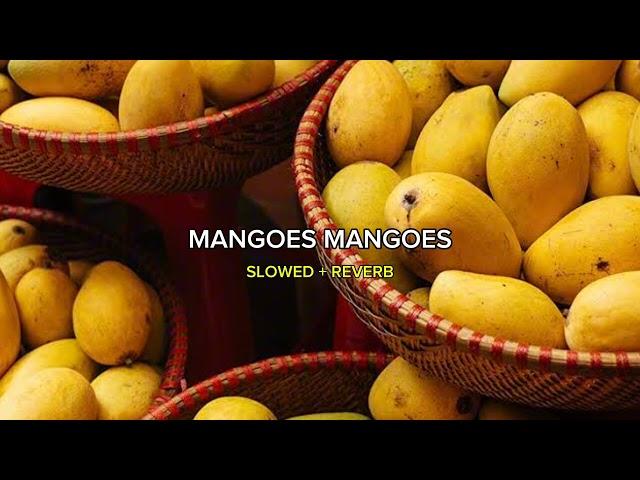 MANGOES MANGOES AUDIO EDIT (SLOWED + REVERB) | CRICDIVEDITZ