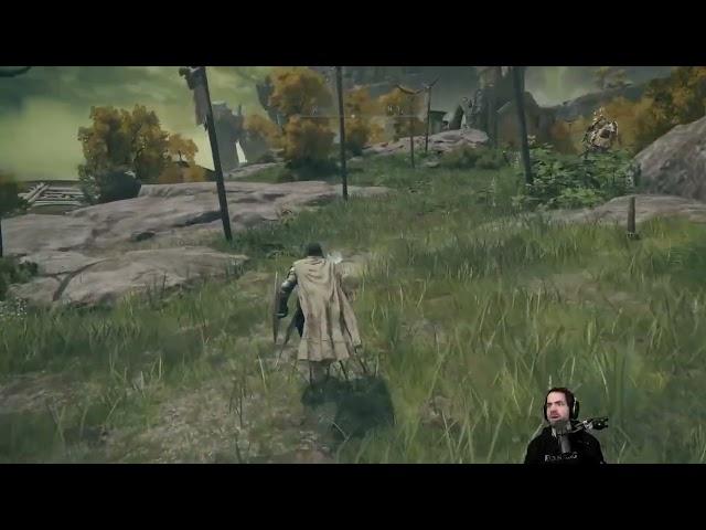 First Time Meeting Tree Sentinel
