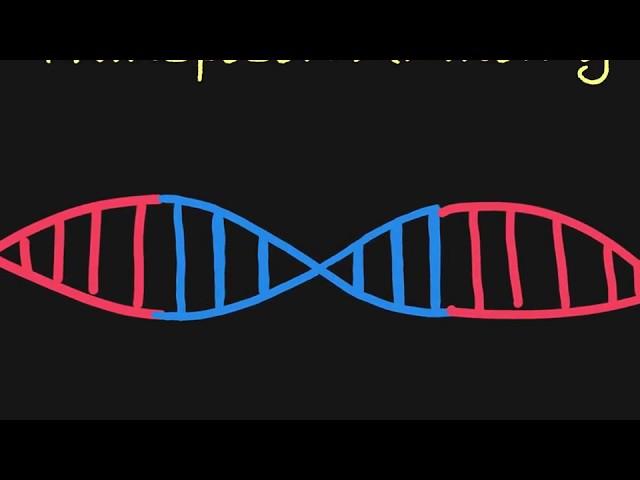 Introduction to Transposons