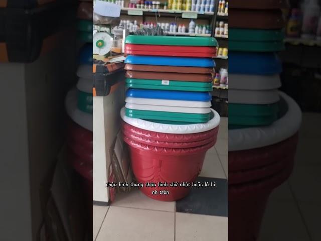 Chọn chậu trồng cây, chậu nhựa rẻ bền đẹp Vườn Sài Gòn