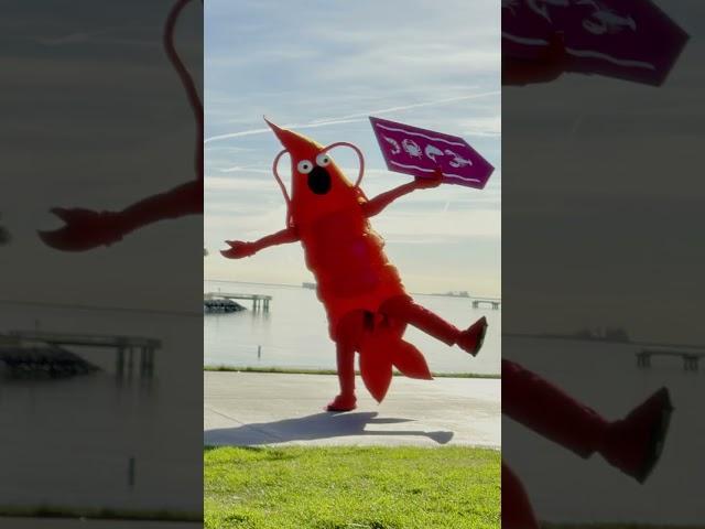 iPhone 16 — Online Ad — Shrimp Clean Up