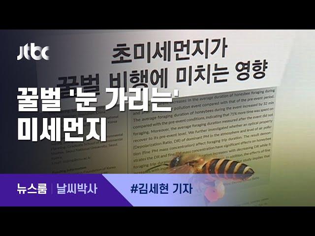 [날씨박사] 꿀벌 '눈 가리는' 미세먼지…비행시간 늘어나 / JTBC 뉴스룸