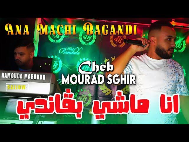 Cheb Mourad Sghir 2025 انا ماشي بڨاندي Ana Machi Bagandi © Avec Hamouda Maradon |Live Rai 2025