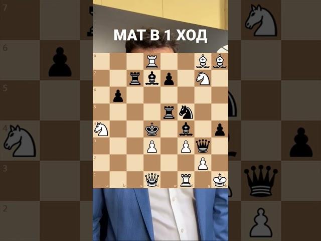 ШАХМАТЫ ДЛЯ СЛЕПЫХ! #шахматы #chess
