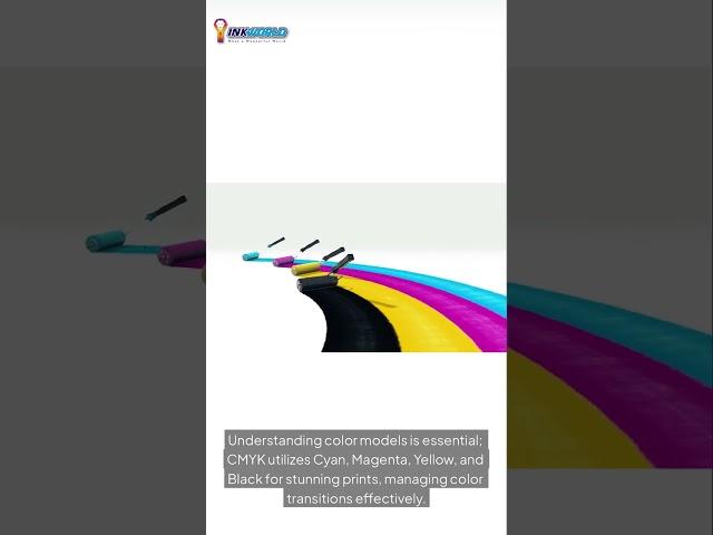 Understanding Spot Colors and CMYK: When Accuracy or Flexibility Matters Most