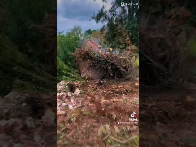‼️Skidsteer vs. Tree stump  #skidsteer #landmanagement (we do not own copyrights to this music)
