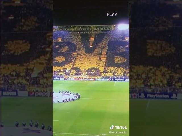 -Bvb Ultras 