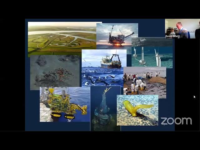 EU-MERCES webinar - Restoration of shallow, soft-bottom ecosystems