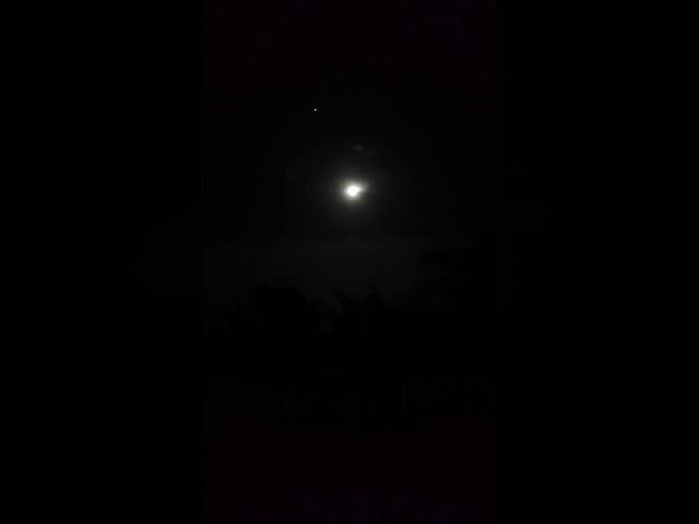 Moonshine