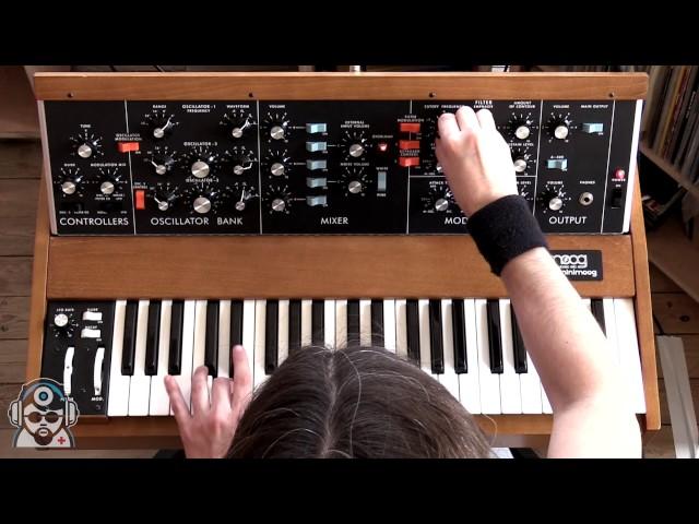 The New Minimoog Model D In Action