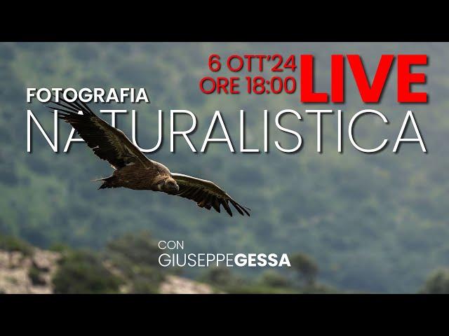 Fotografia Naturalistica: tecnica e corredo. 4 chiacchiere con Giuseppe Gessa