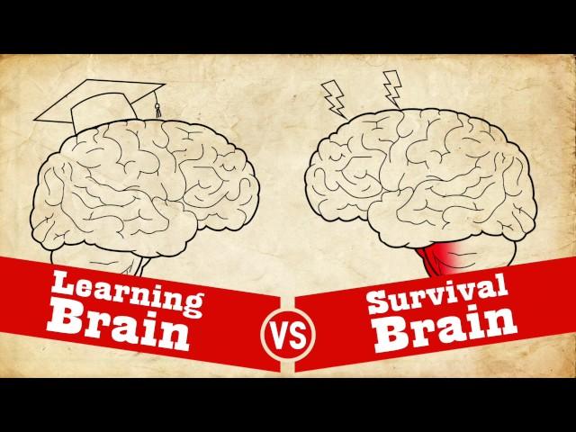 Understanding Trauma: Learning Brain vs Survival Brain