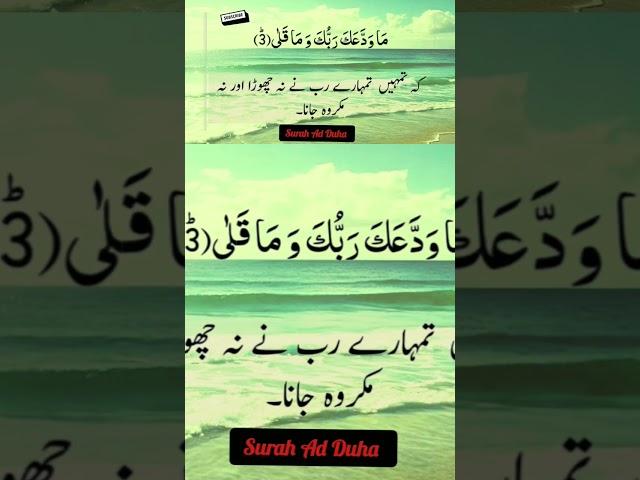 soul relaxing recitation #viral #shortsfeed #islamicvideo #shorts #ytshorts #islam #trending