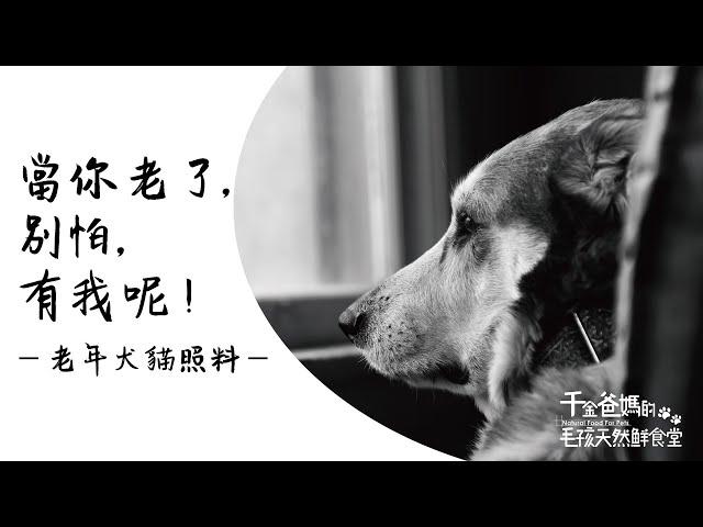 當毛孩老了，怎麼辦？---老年犬貓的照料(1) 別再說老狗老貓要減少吃蛋白質