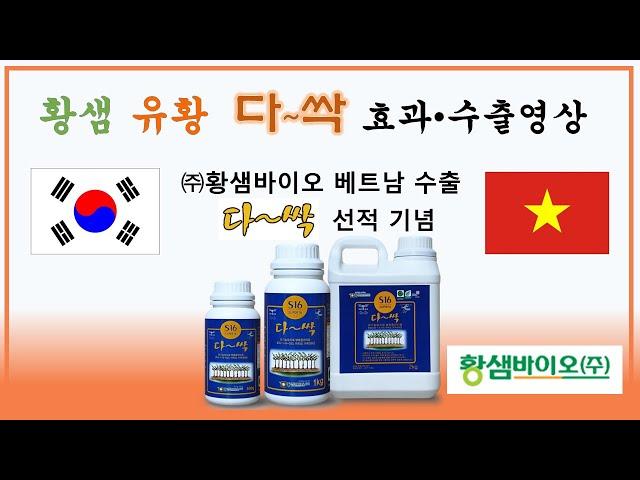 유황비료 황샘바이오(주) 다싹 사용 효과 효능 농가 성공 사례 및 베트남 수출 선적 영상