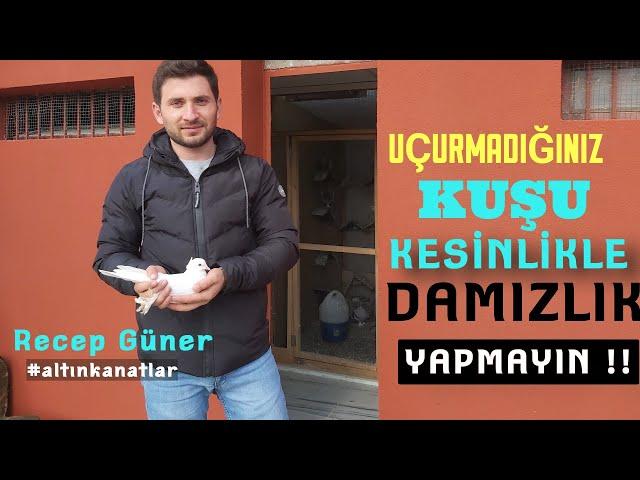 ALTIN KANATLAR RECEP GÜNER'İ ZİYARET ETTİK / SOY KUŞLAR / (18 Tane Kuşu Atmaca Aldı)