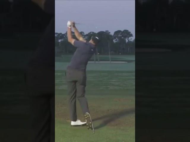 Adam Scott Iron Swing #golfswing #golf #golftips #golfer #golfswingbasics