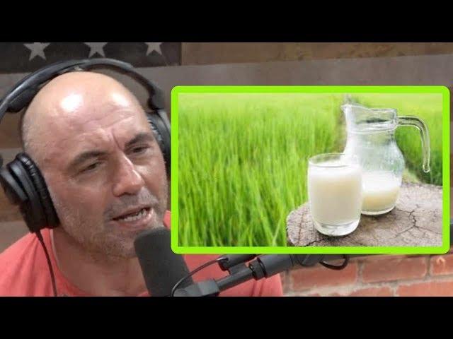 Joe Rogan on the Government's War on Raw Milk