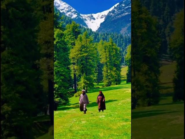 #vancouver #viralvideo