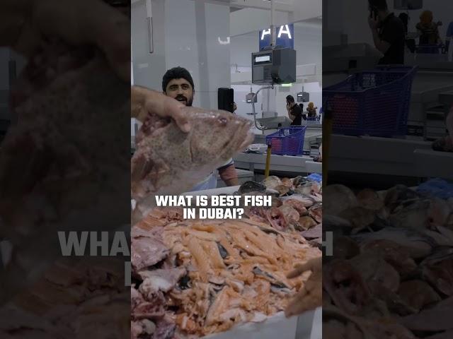 best fish in Dubai #shorts