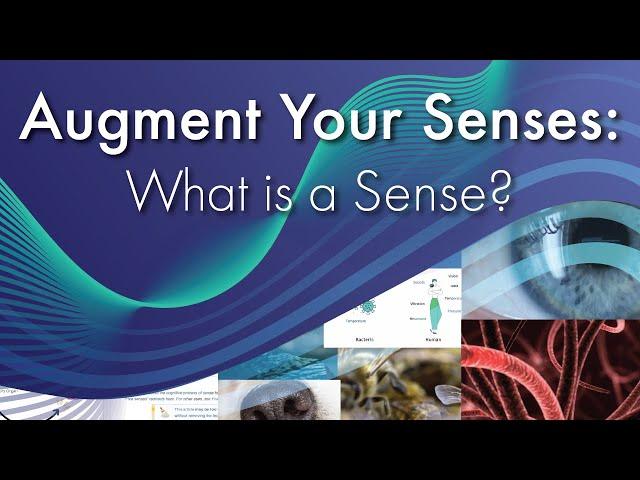 Augment Your Senses: What is a Sense?