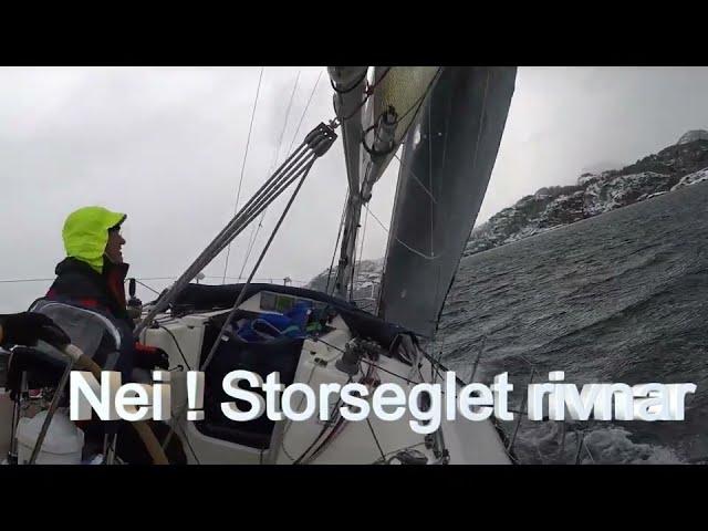 Regatta Isbjørnen 2023 ombord i X-faktor