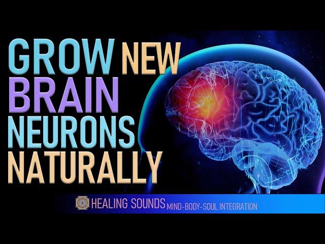 Neuroplasticity | Grow New Brain Neurons Naturally | Healing Frequency Isochronic Tones | 528 Hz