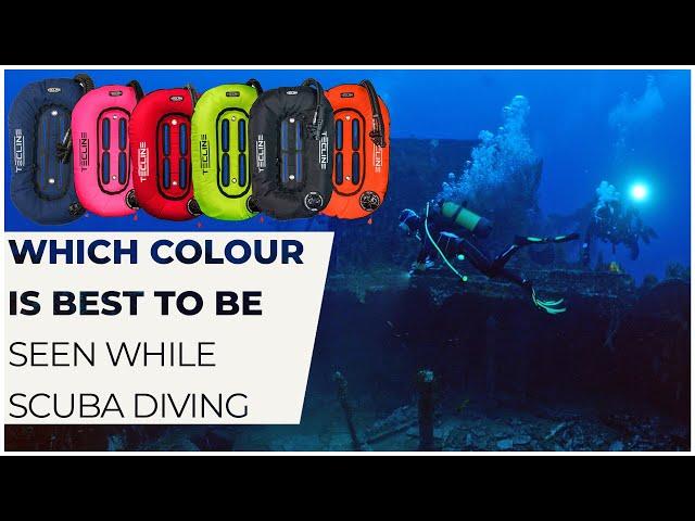 Which Colours are Best for Scuba Diving? #scuba #colour