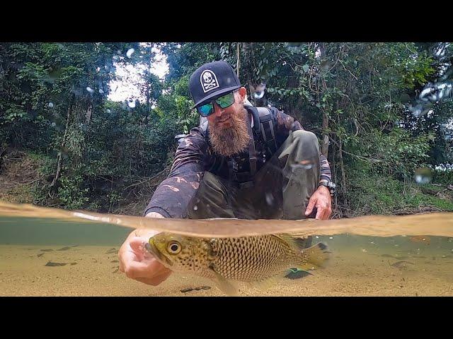 LURE FISHING IN THE JUNGLE - Exploring the Crystal Clear Creeks of FNQ