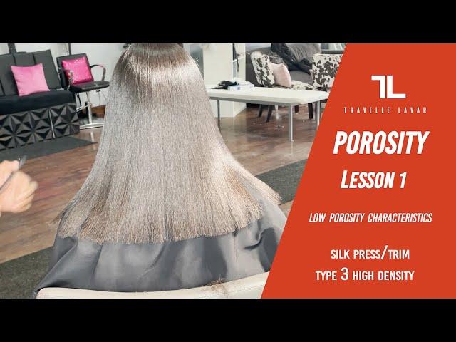 ️ Porosity Lesson 1 - Detailed Silk Press on Low Porosity Hair