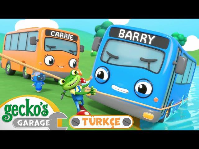 İkiz Otobüsler｜ Gecko'nun Garajı - Çocuklar Için kamyonlar {Türkçe Dublajlı}