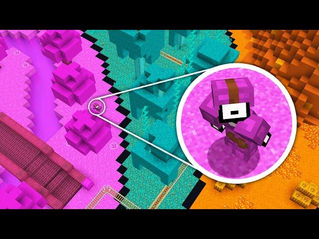 Minecraft's Most DIFFICULT Hide and Seek Match!