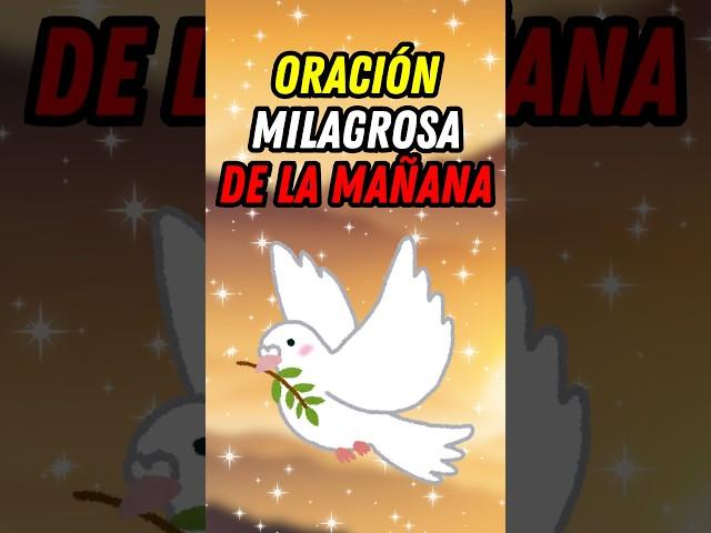 ️Oración de la Mañana: Comienza tu Día con Fe, Paz y Bendiciones 