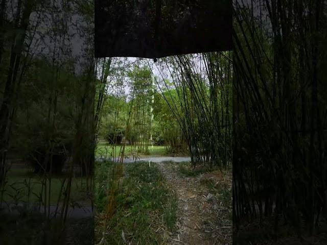 #비소리 #비소리asmr #rain #asmr  #rainsounds #백색소음 #수면유도 #relaxing