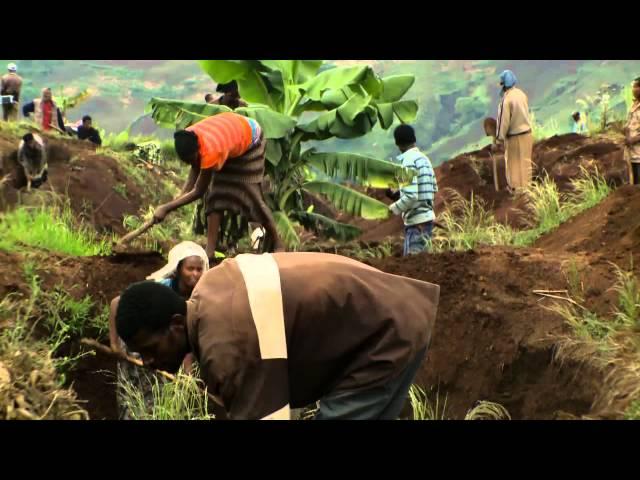 Women farmers increasing productivity of farms. Ethiopia—thinkEQUAL