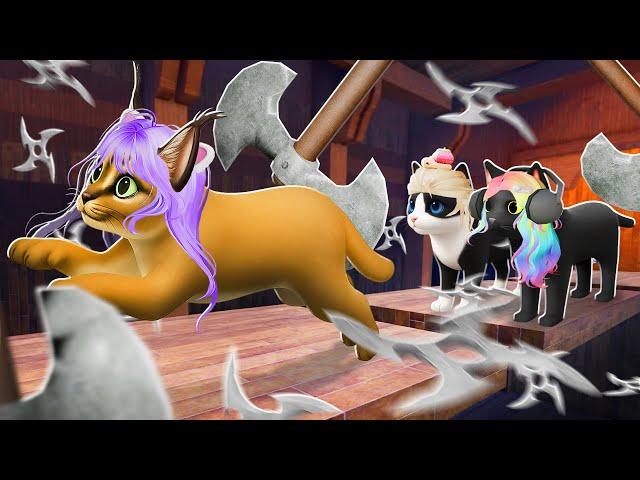 КОТИКИ СТАЛИ НИНДЗЯ! Roblox Kitten Game