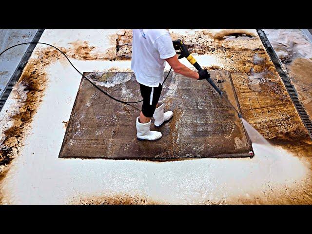 Worst carpet ever - the cleaning took forever | restoration ASMR carpet cleaning | Speeded Up