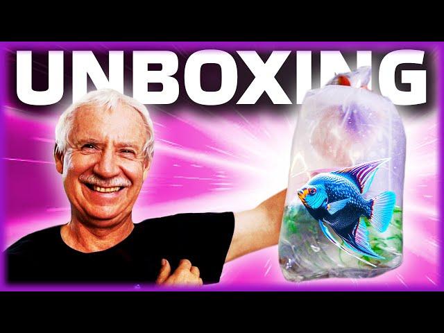 EXPERTE packt SELTENE FISCHE aus! RARE FISH UNBOXING