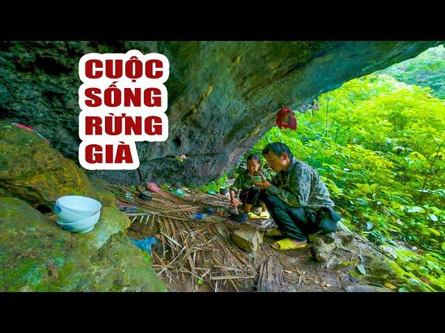 Jungle Life – Fighting Nature and Finding Food in the Forest – Suoi Ban tv