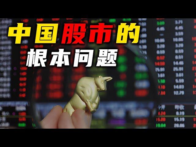 中国股市的根本问题【汤山老王】