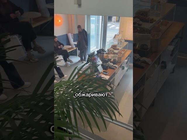 Бизнес наших ребят в Сербии: кафе Sonder ️