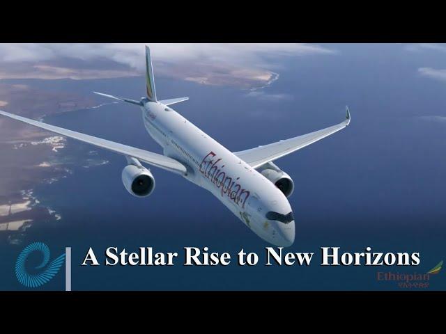 A Stellar Rise to New Horizons