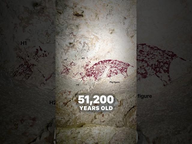 New discovery! 51,200-year-old figurative rock art in Sulawesi, Indonesia