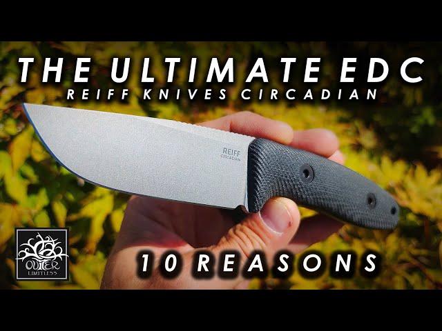 Is This the ULTIMATE EDC Knife?? Reiff Knives Circadian - 10 Reasons Why!