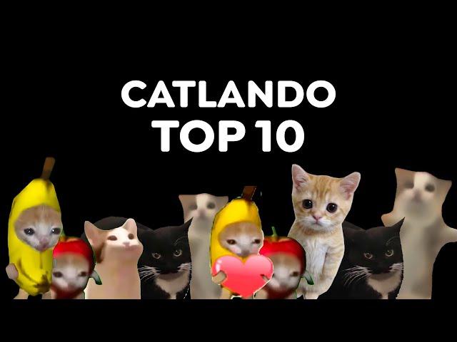 CATLANDO - TOP 10  (Best Cat Meme Videos)