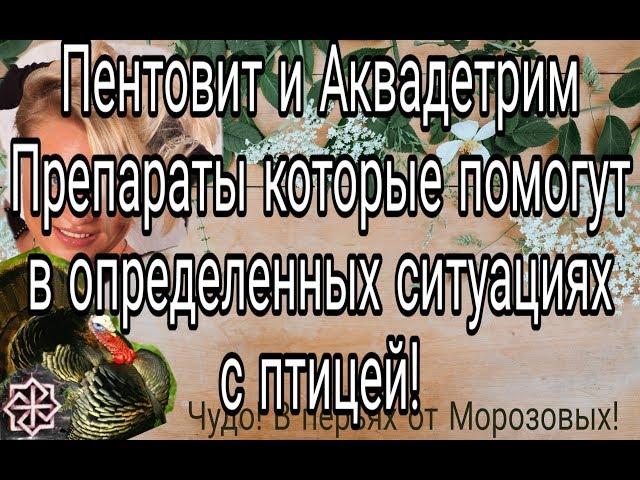 Пентовит и АкваДетрим//Препараты которые помогут в определённых ситуациях с птицей.