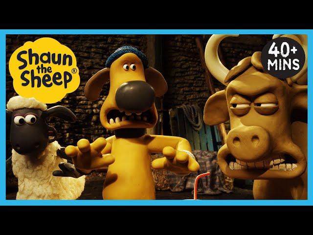 Shaun the Sheep  Full Episodes  The Bull, Picnics, Memories, Film Night + MORE | Cartoons for Kids