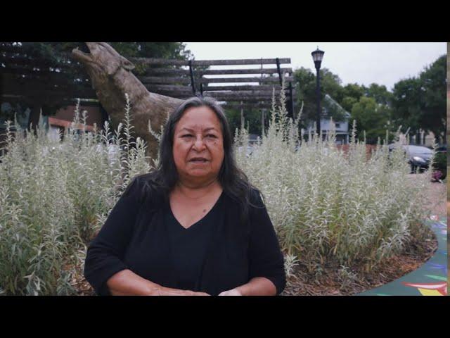 Harvesting Sage