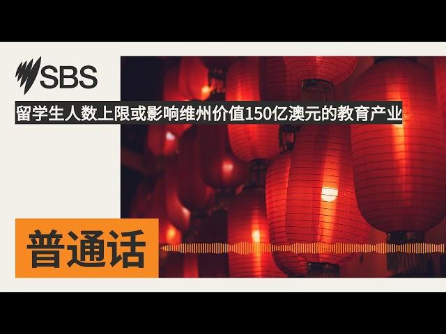 留学生人数上限或影响维州价值150亿澳元的教育产业 | SBS Mandarin - SBS 普通话电台